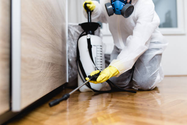 Best Best Pest Control Companies  in Gray Summit, MO