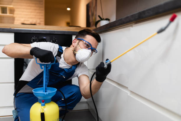 Best Affordable Pest Control Services  in Gray Summit, MO
