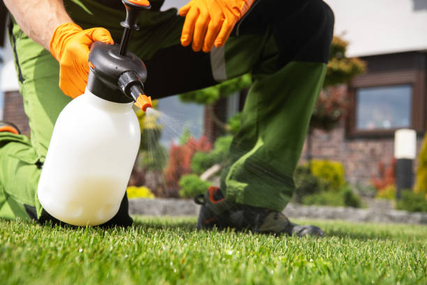 Best Pest Prevention Services  in Gray Summit, MO
