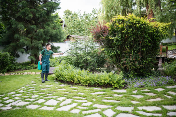 Best Affordable Pest Control Services  in Gray Summit, MO