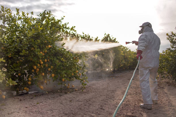 Best Pest Control for Businesses  in Gray Summit, MO