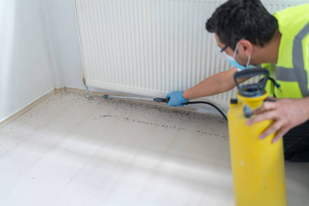 Best Pest Inspection Near Me  in Gray Summit, MO